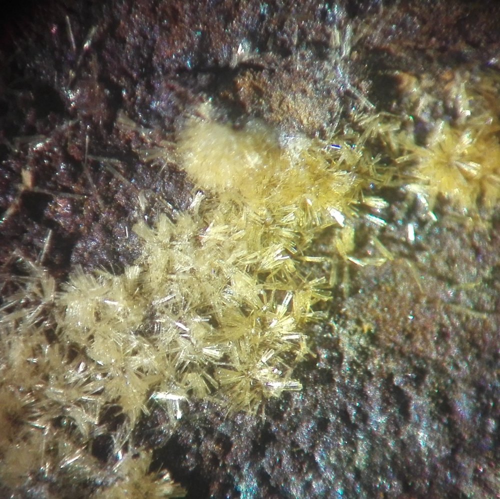 Wavellite