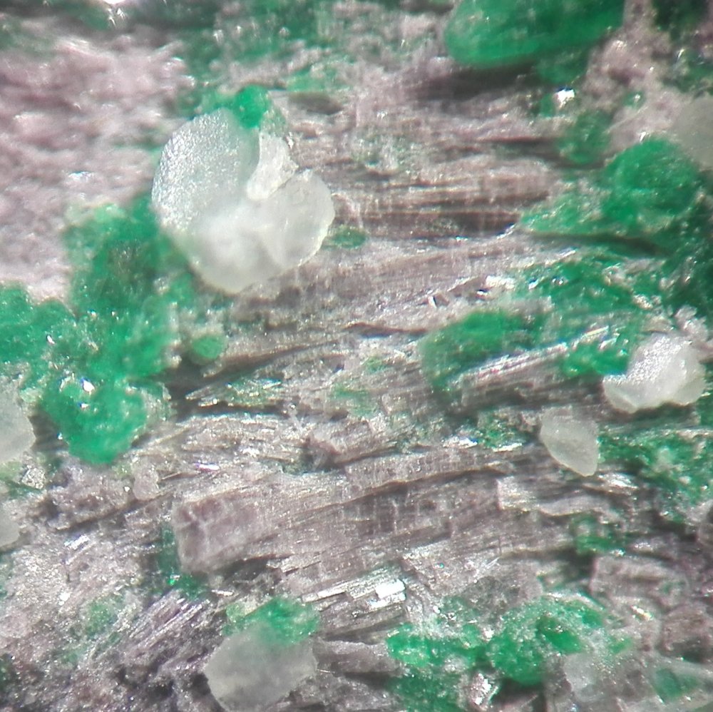 Shuiskite & Uvarovite