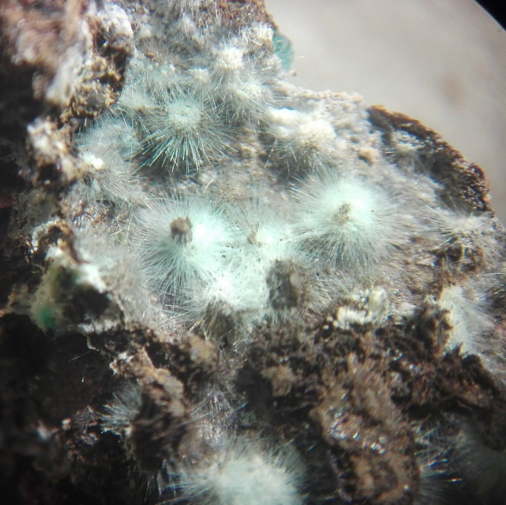 Agardite-(La)