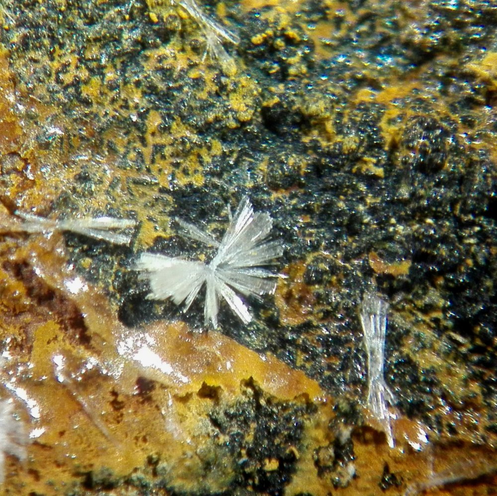 Wavellite