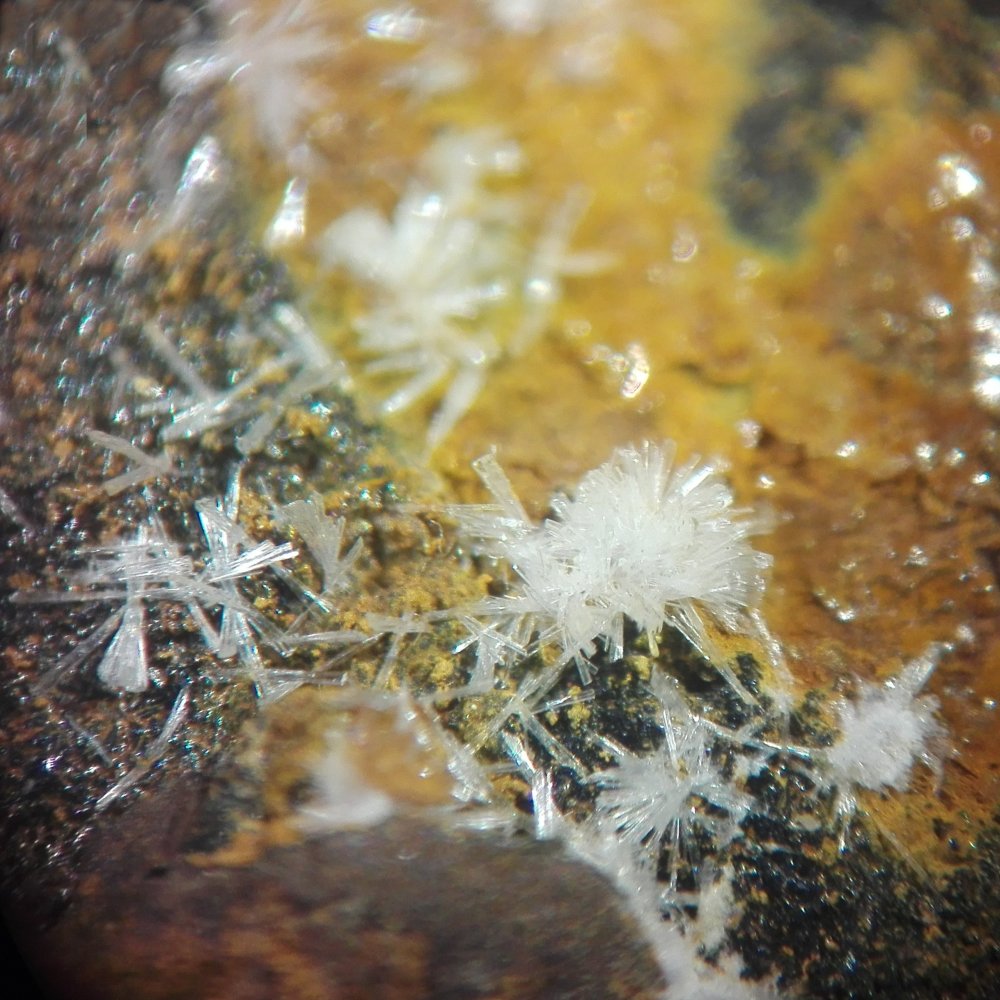 Wavellite