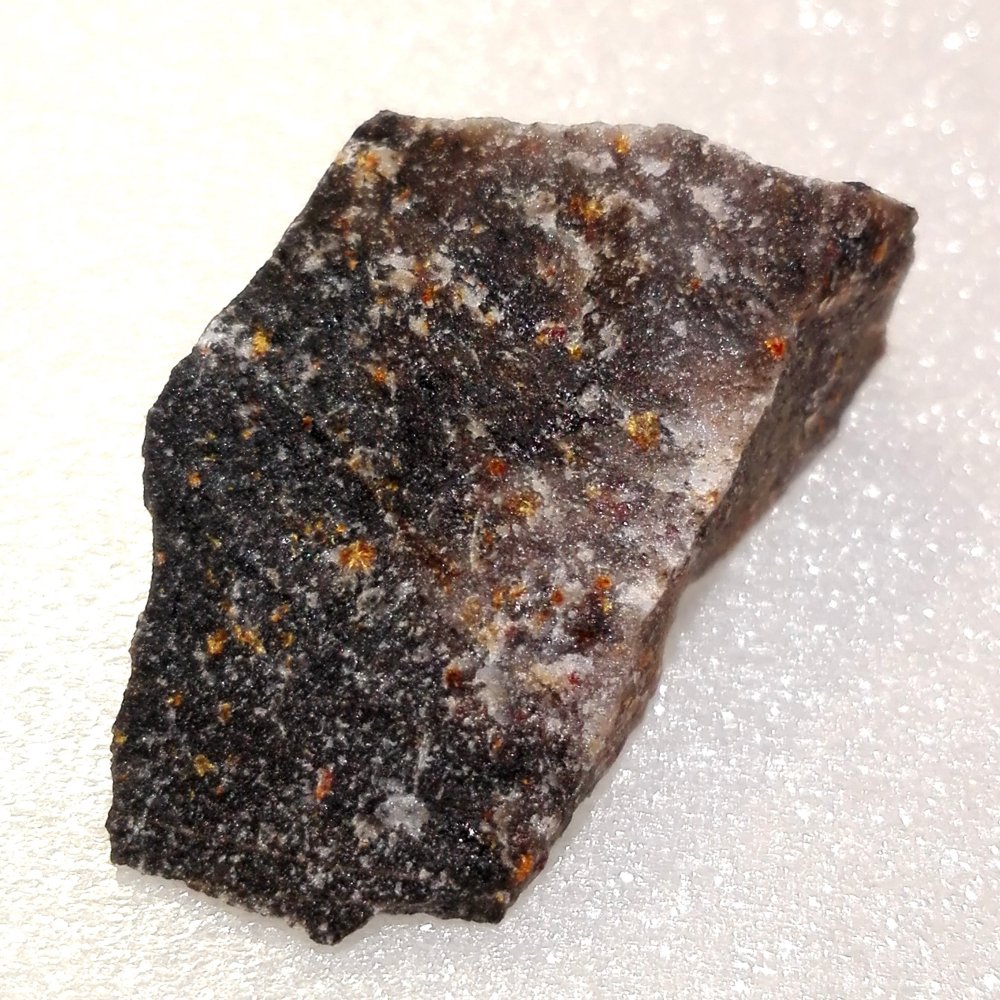 Scheuchzerite