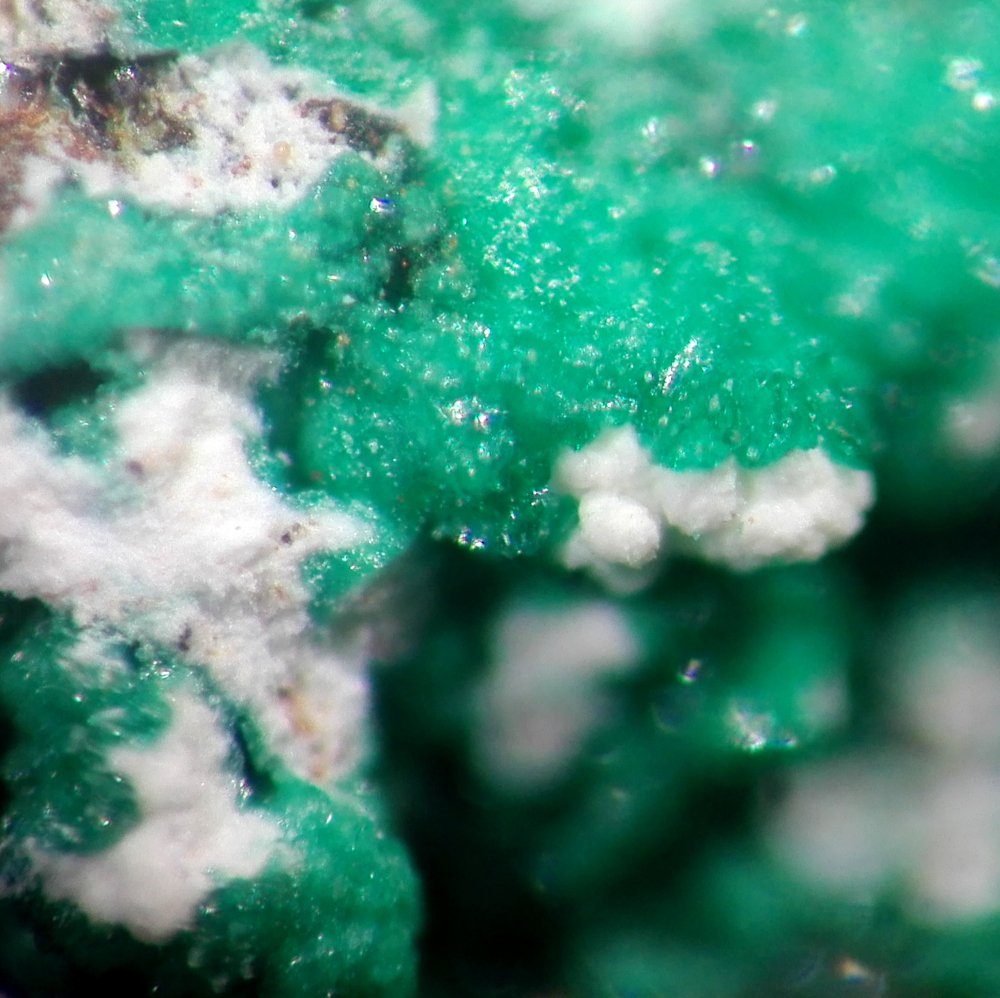 Paratacamite-(Ni)