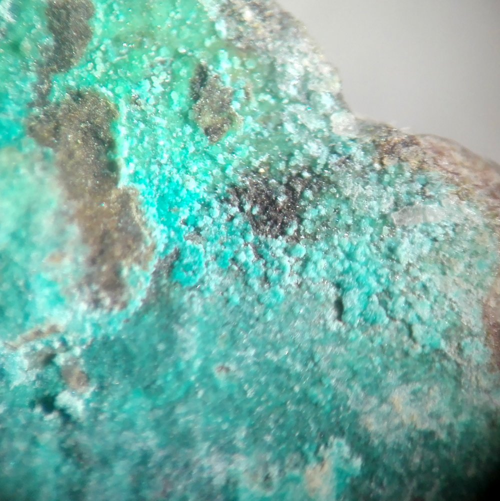 Astrocyanite-(Ce) & Kamotoite-(Y)