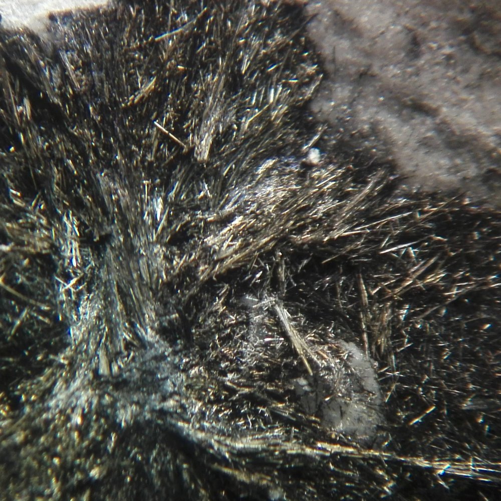 Robinsonite
