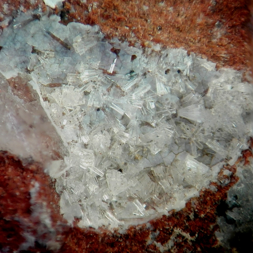 Erionite-Ca