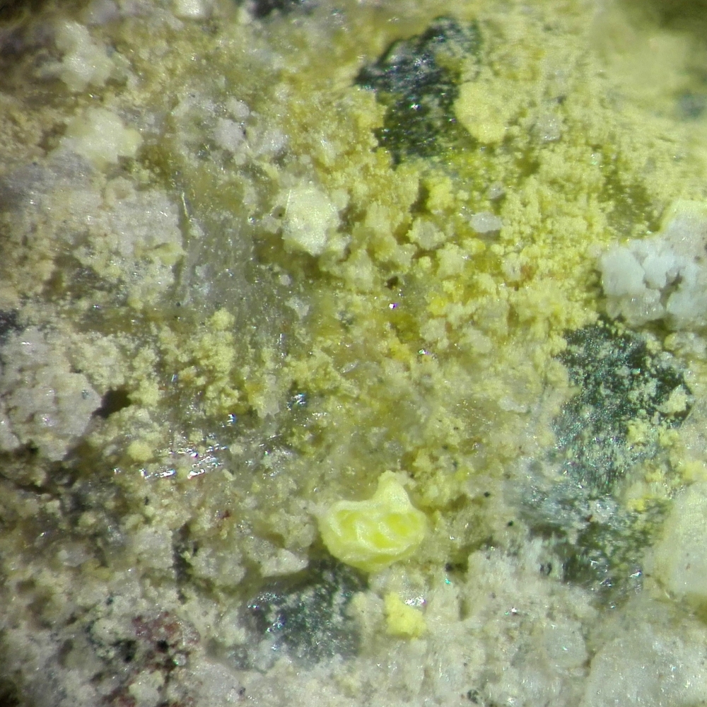 Alwilkinsite-(Y)