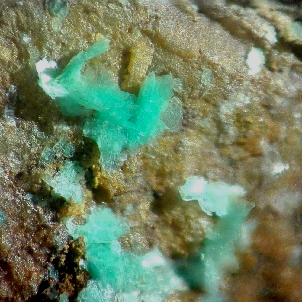 Sabugalite