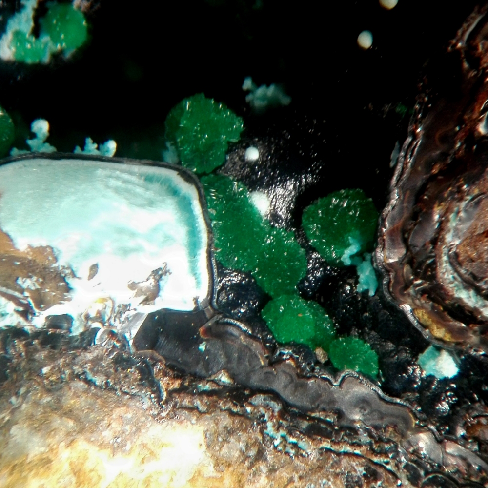 Philipsburgite