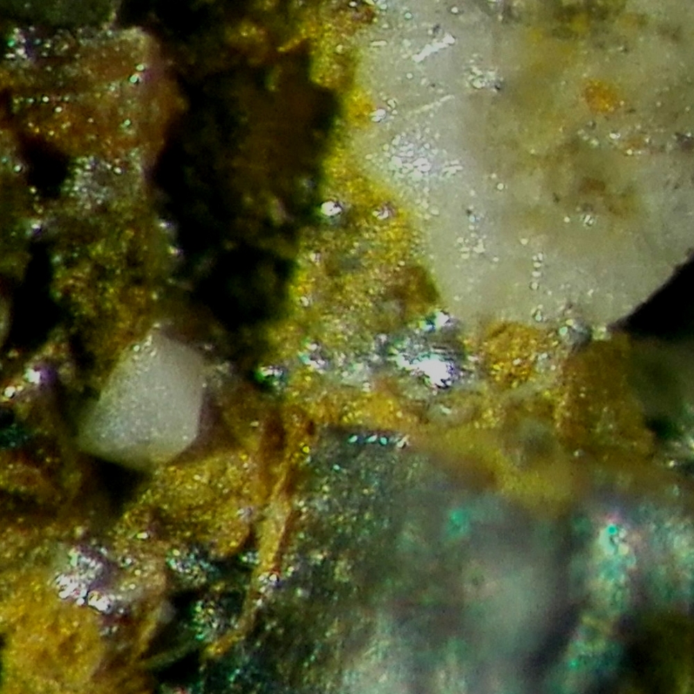 Chukhrovite-(Ca)