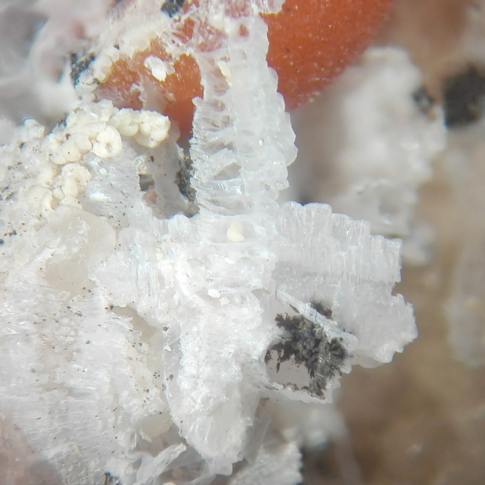 Ferrierite-Mg Palygorskite Heulandite