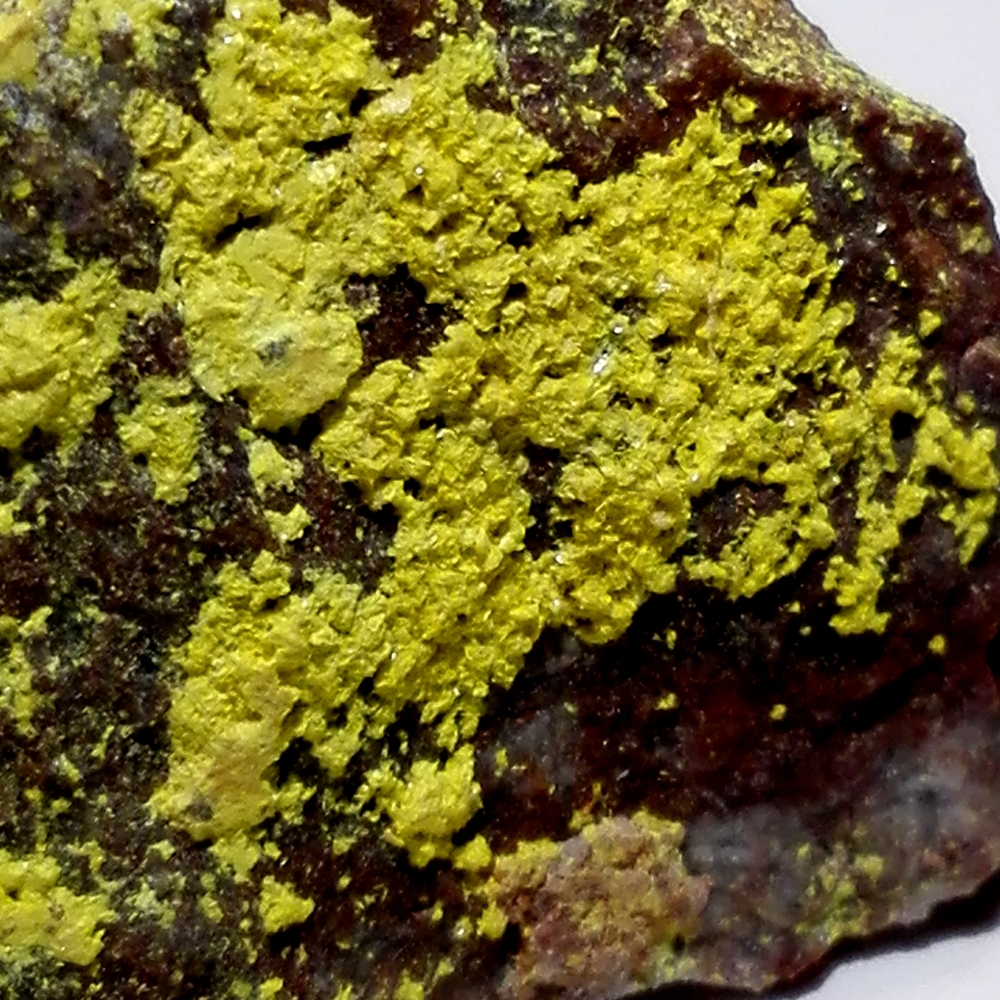 Dewindtite