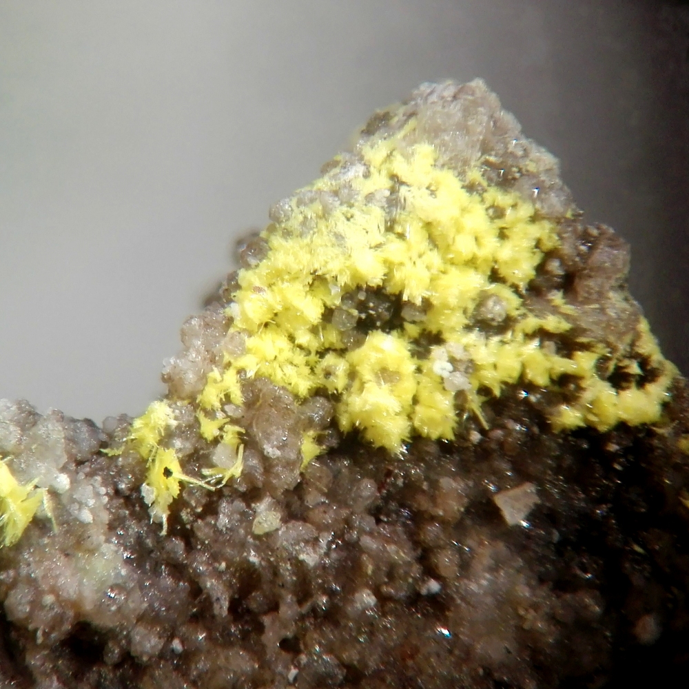 Rabbittite & Bayleyite