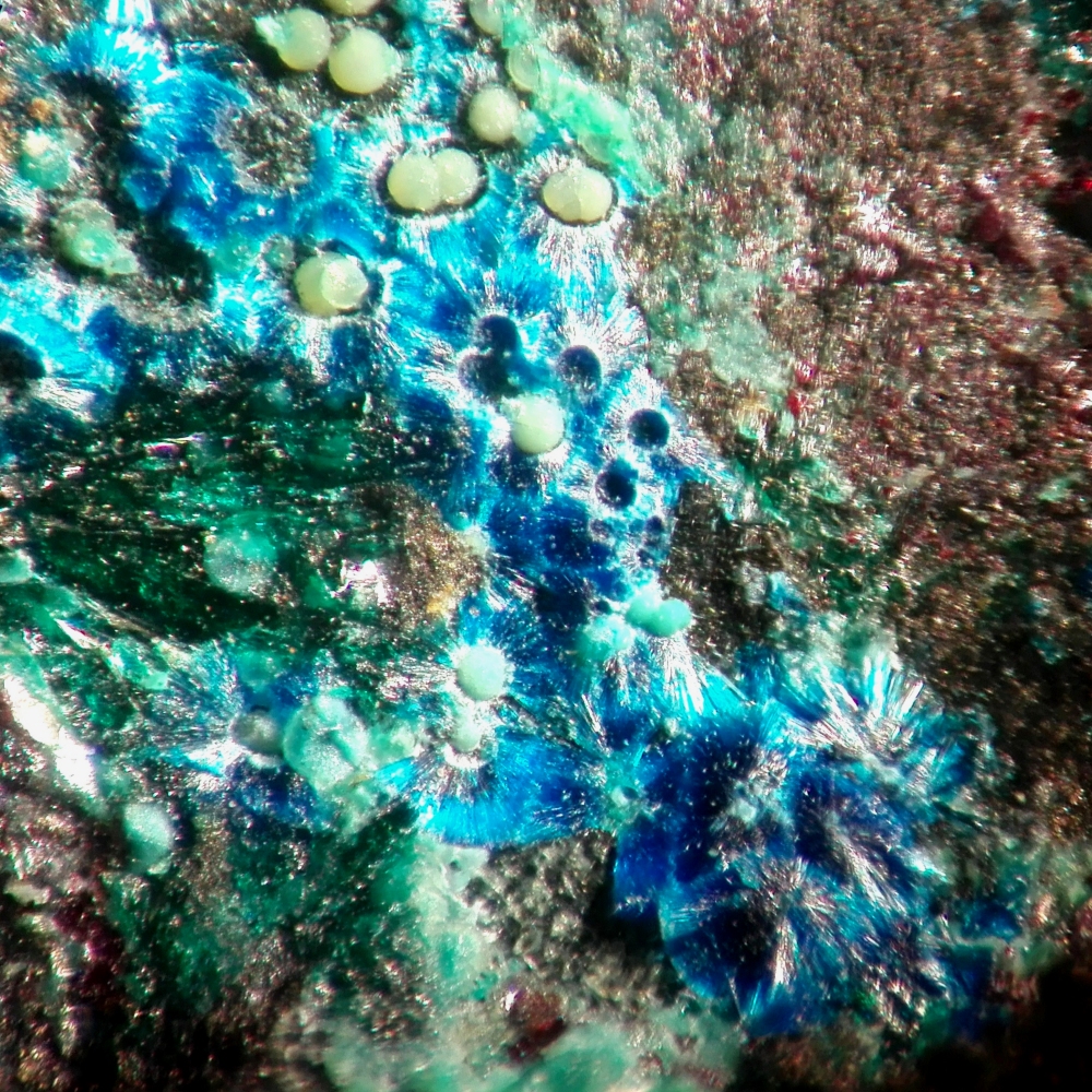 Connellite