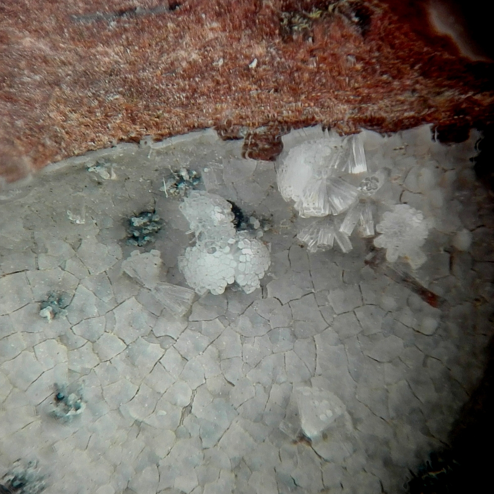 Erionite-Ca