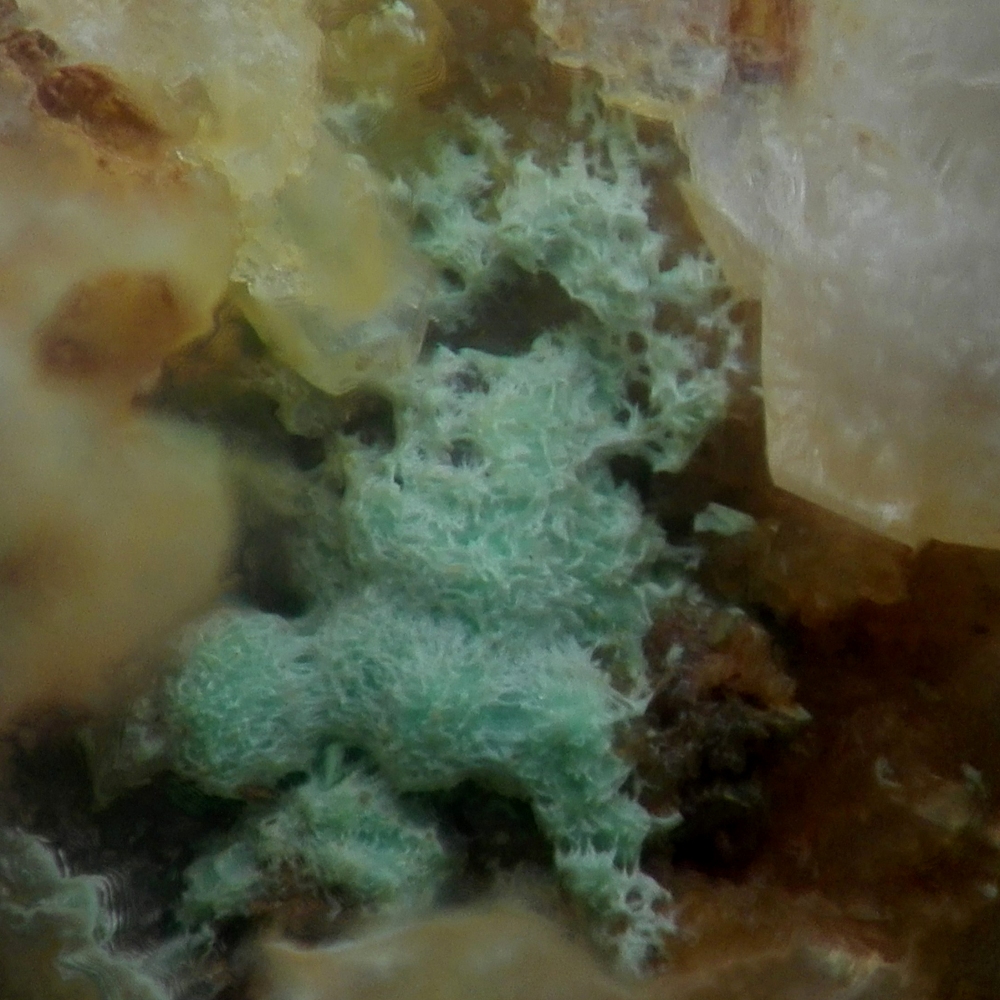 Plumboagardite