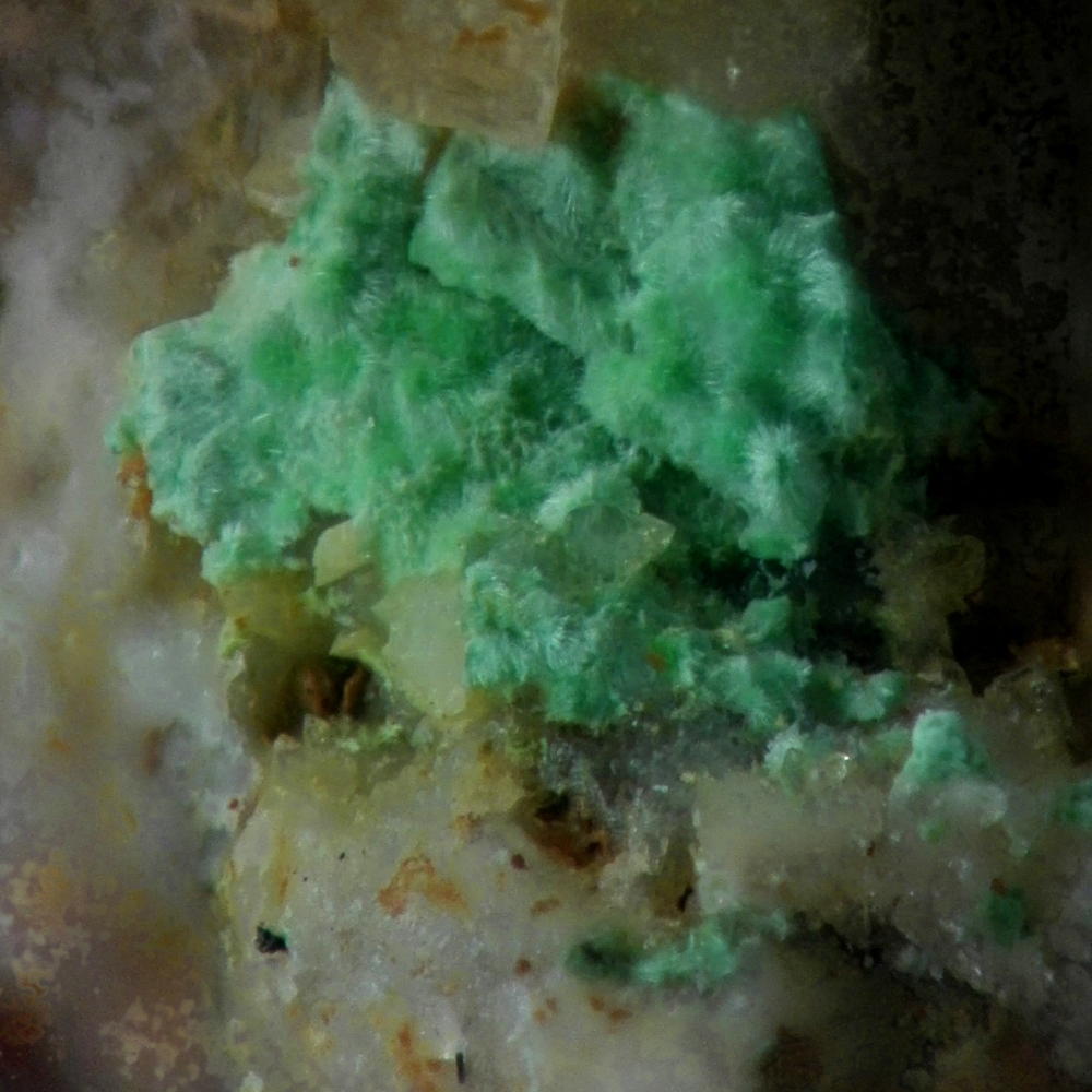 Plumboagardite