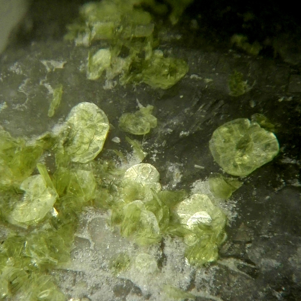 Autunite