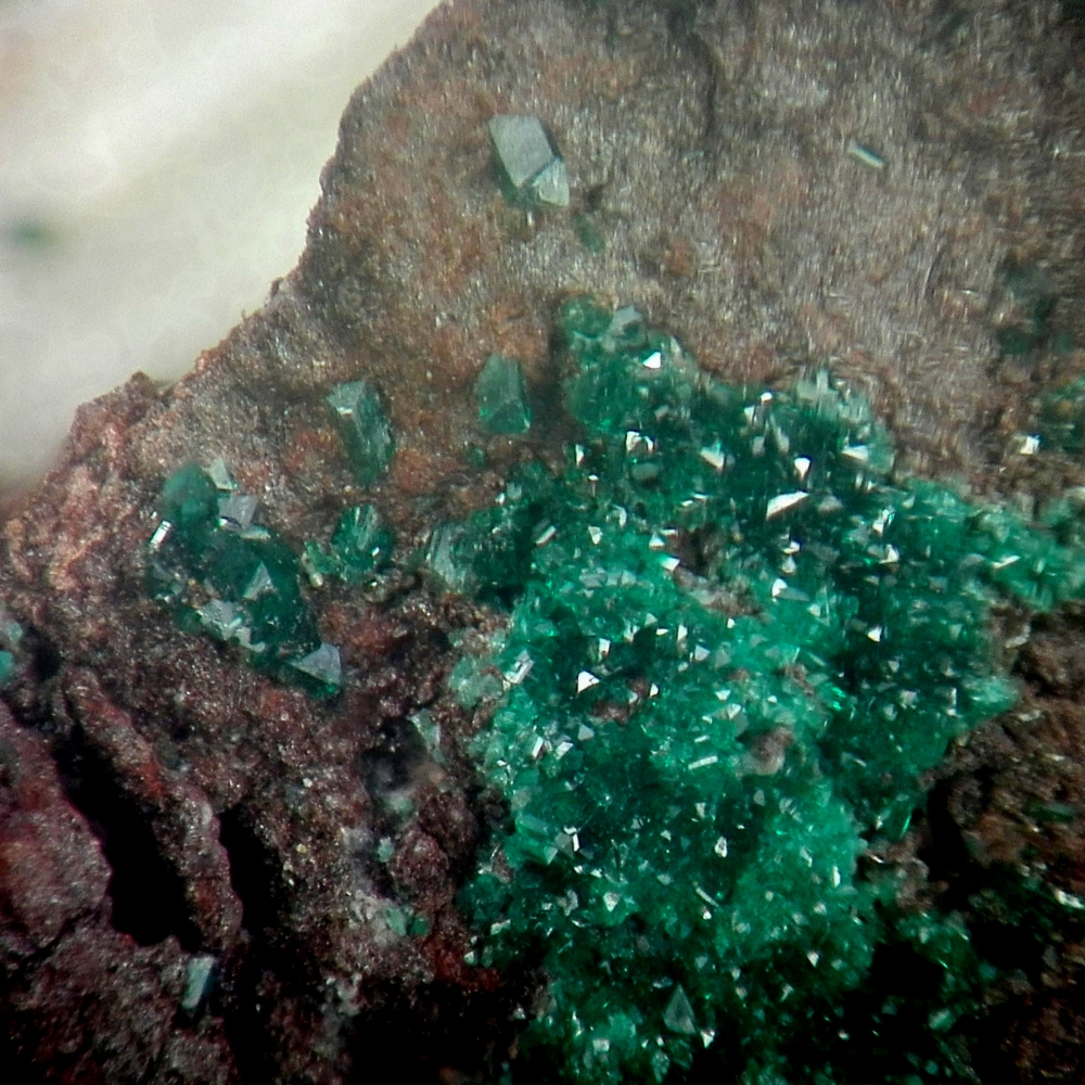 Paratacamite