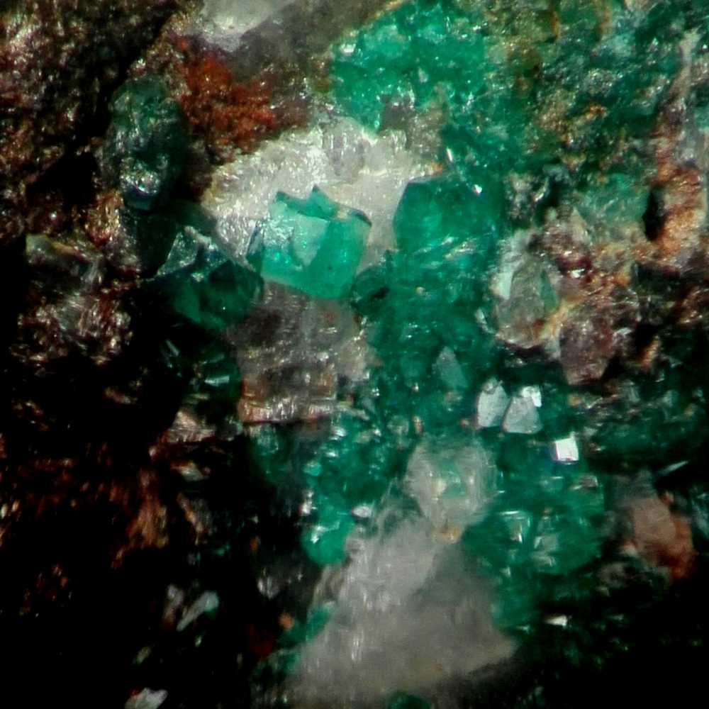 Paratacamite