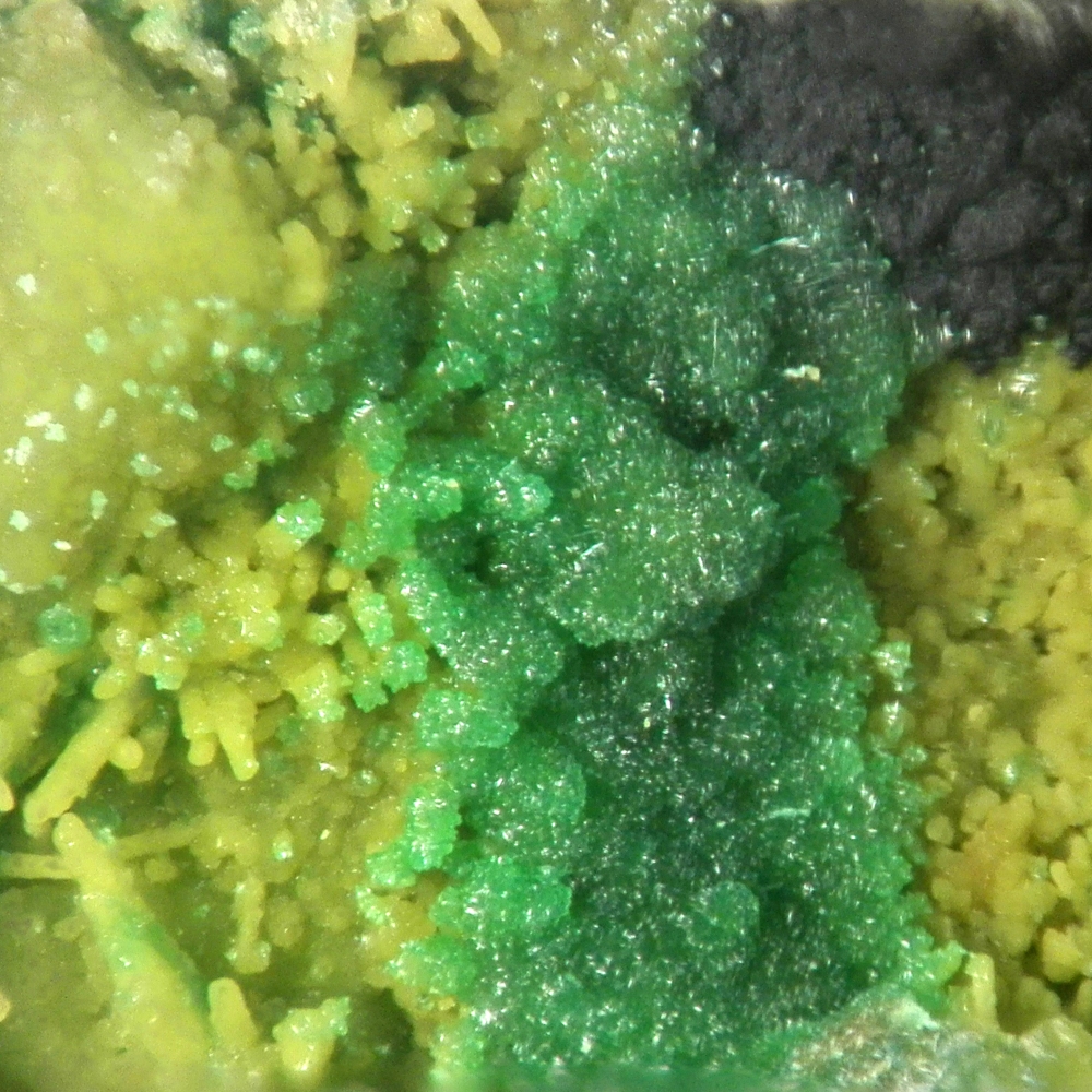 Agardite-(Y) & Bayldonite