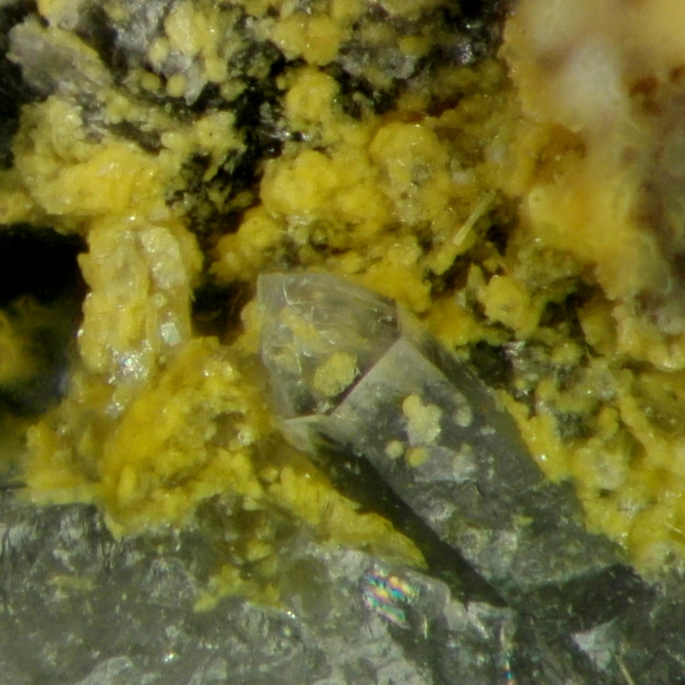 Mendozavilite & Ferrimolybdite