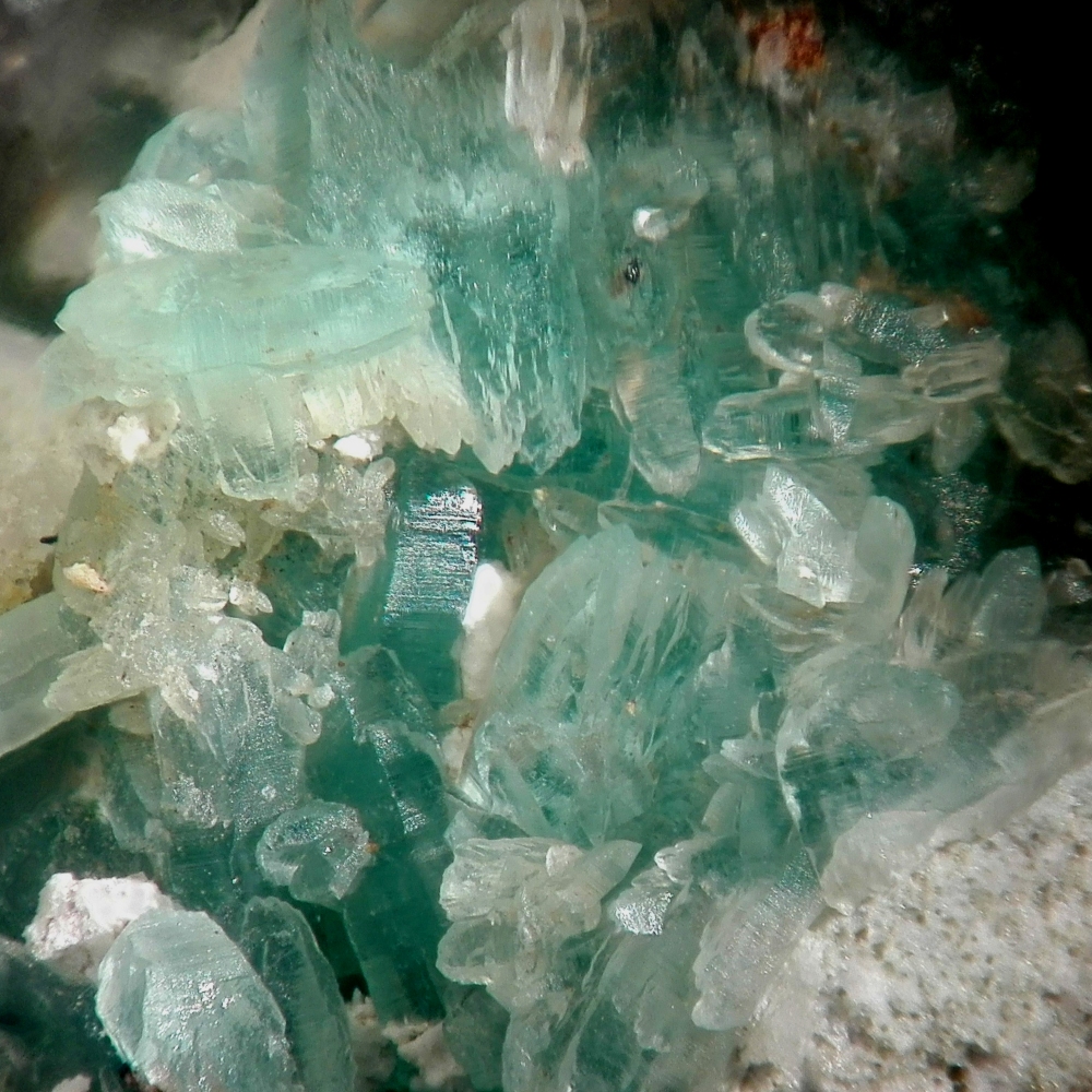 Leightonite & Paratacamite