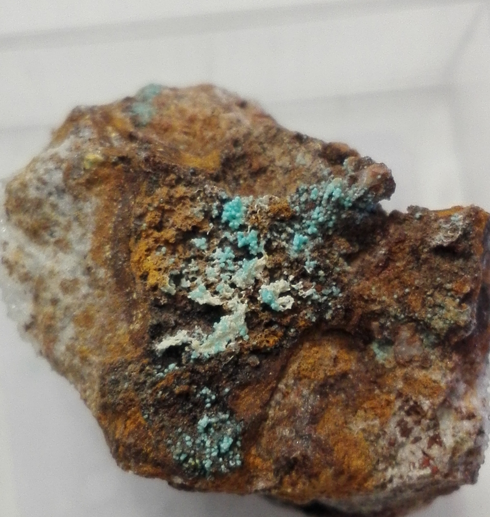 Turquoise