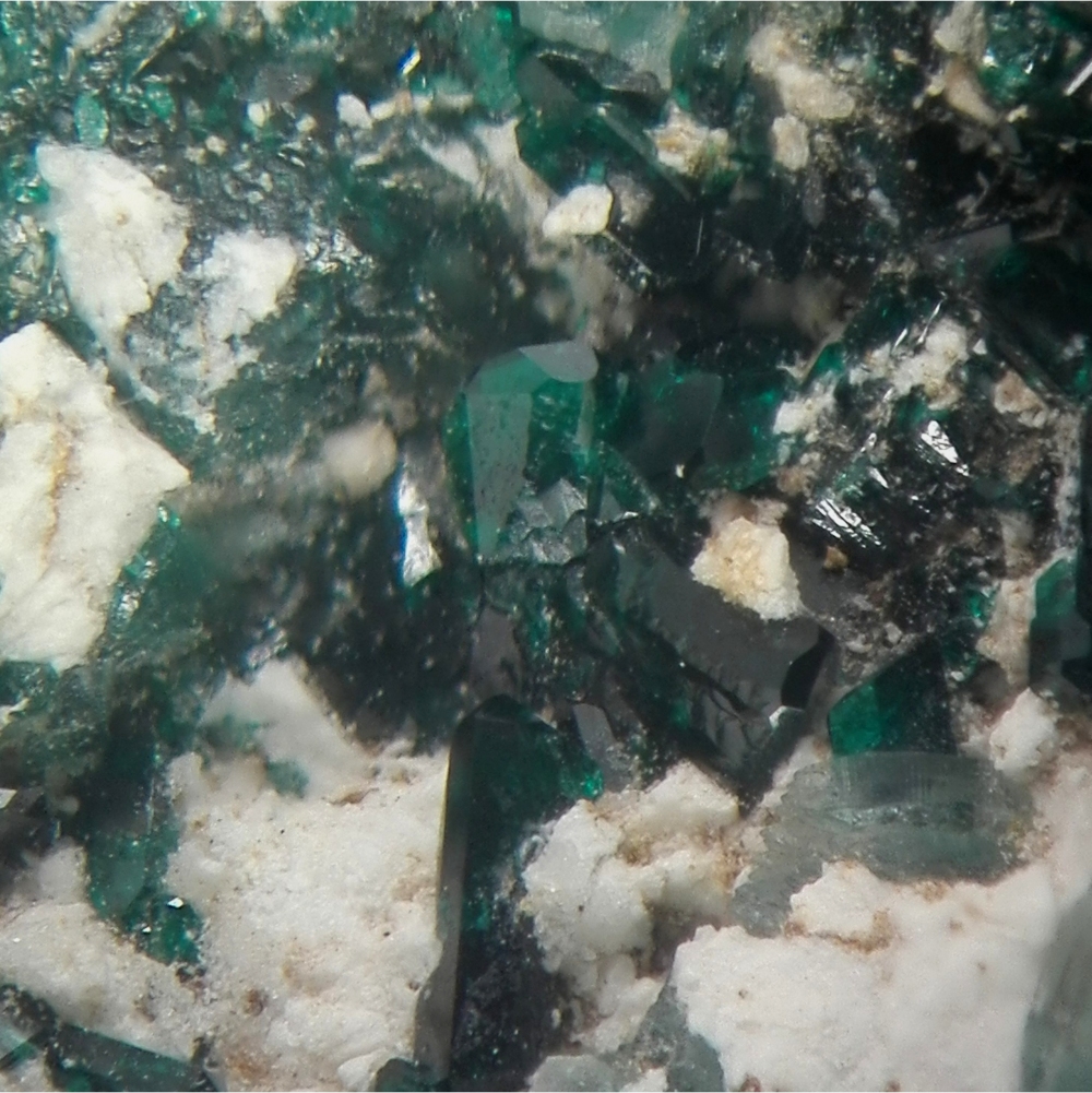 Leightonite & Paratacamite