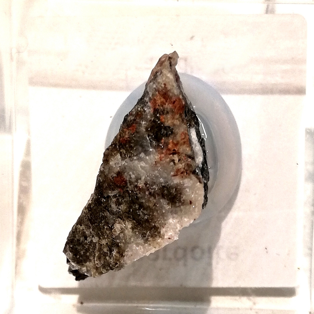 Lombardoite