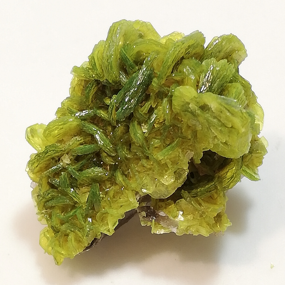 Autunite