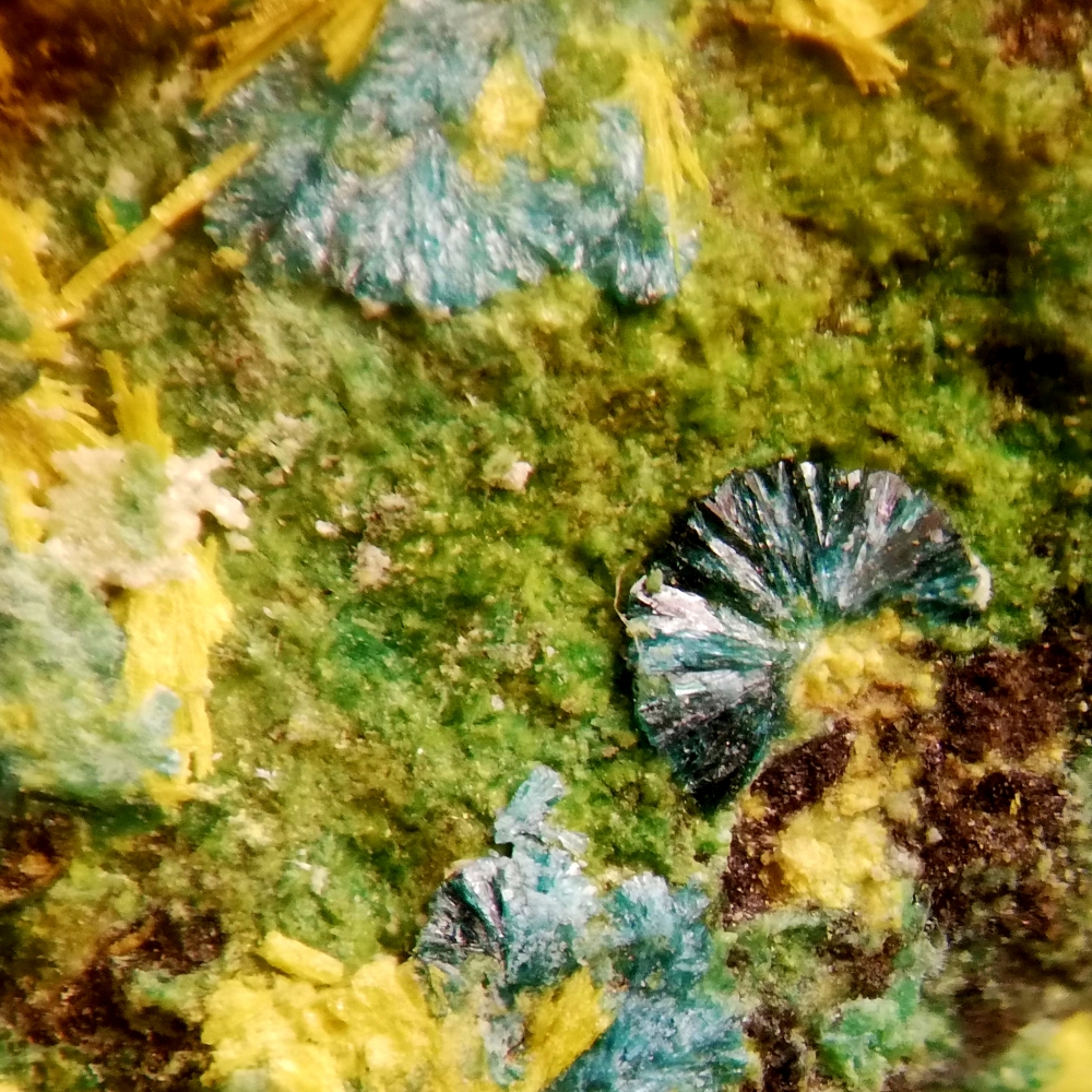 Astrocyanite-(Ce) & Kamotoite-(Y)