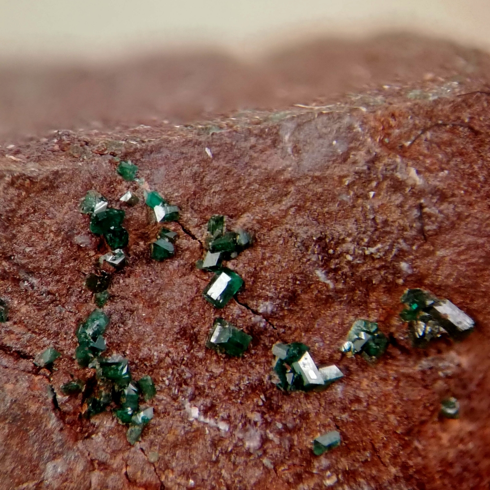 Paratacamite