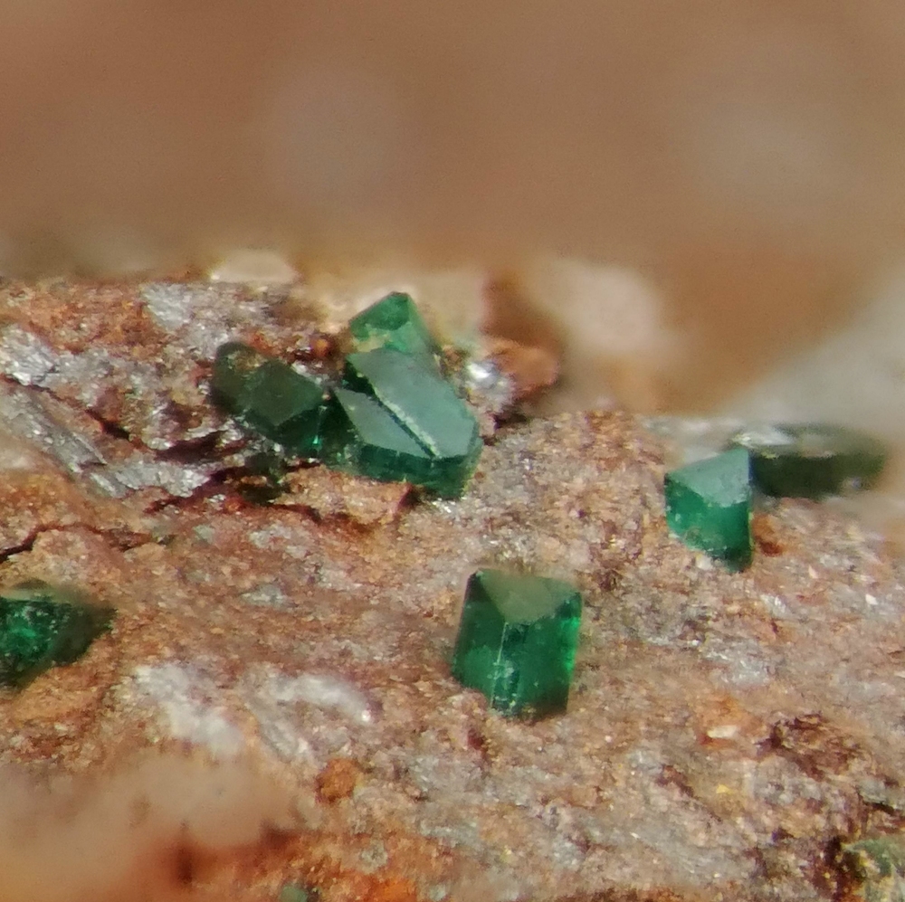 Paratacamite