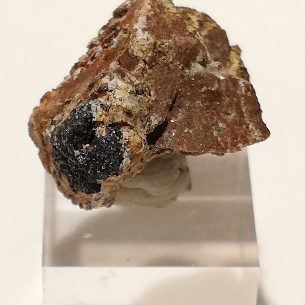 Umangite