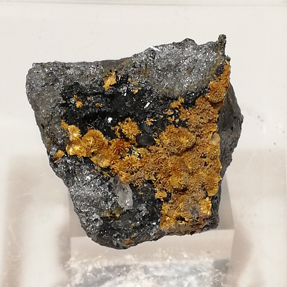 Karibibite