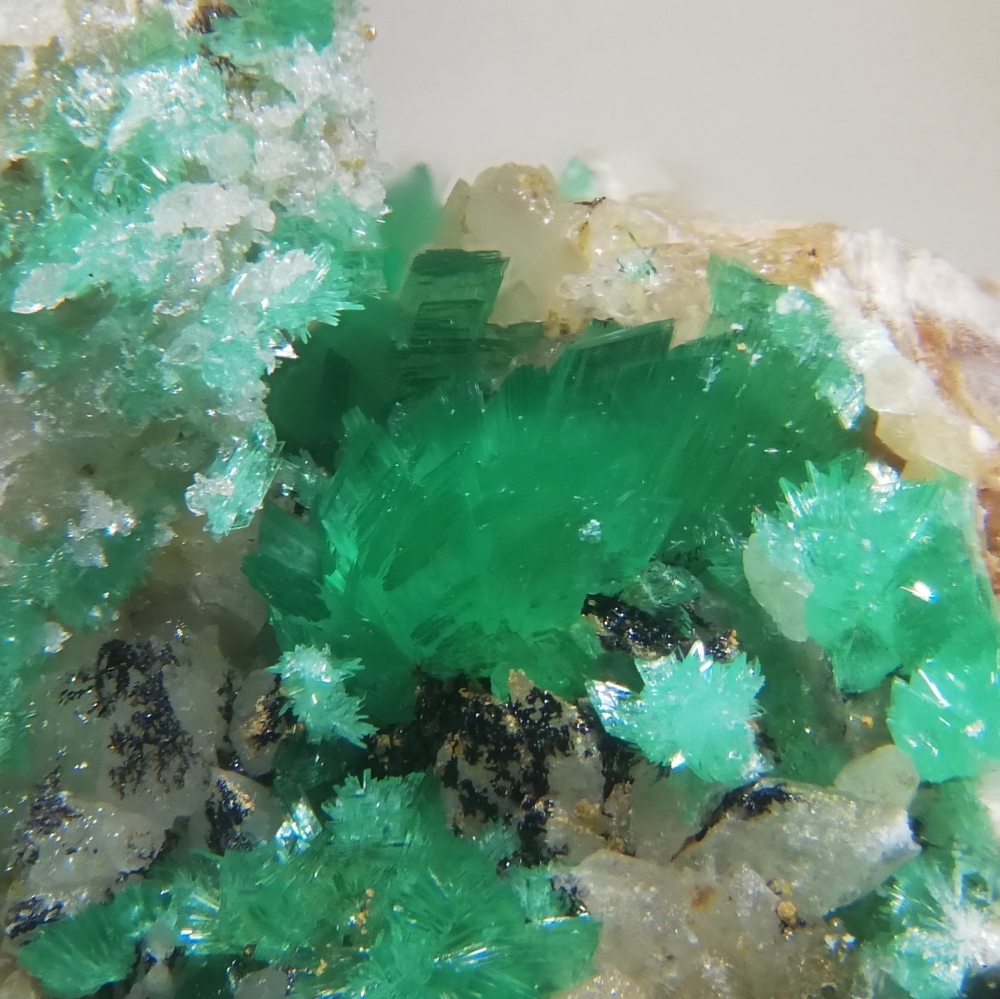 Annabergite