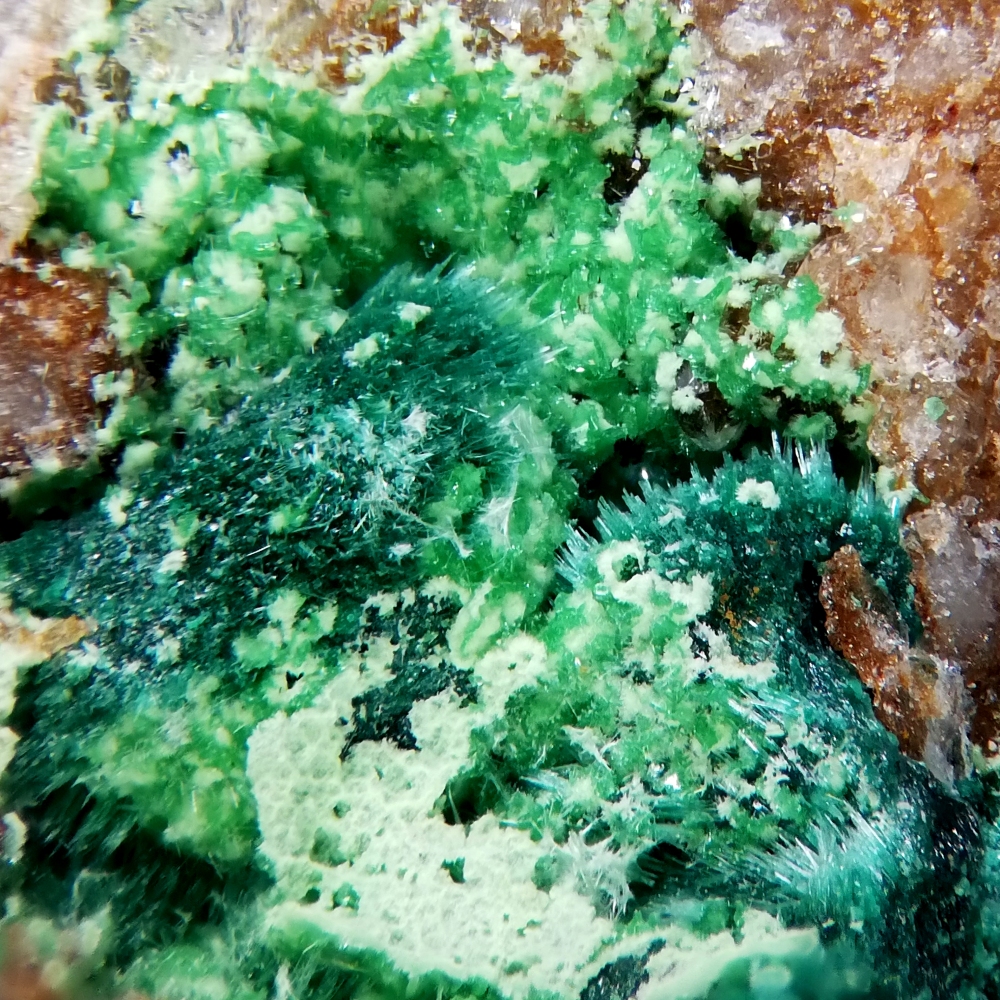 Bayldonite