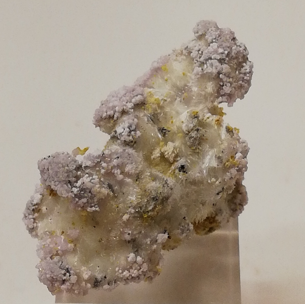 Paracoquimbite Halotrichite