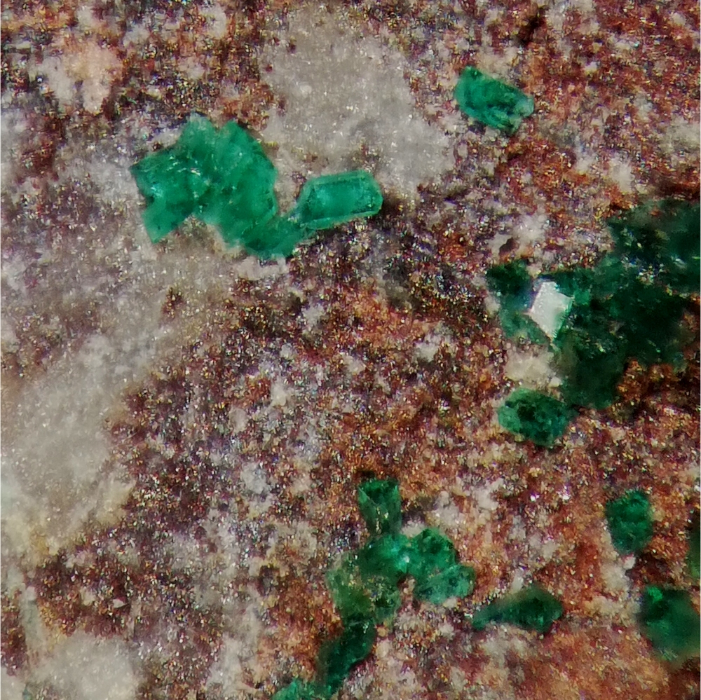 Paratacamite