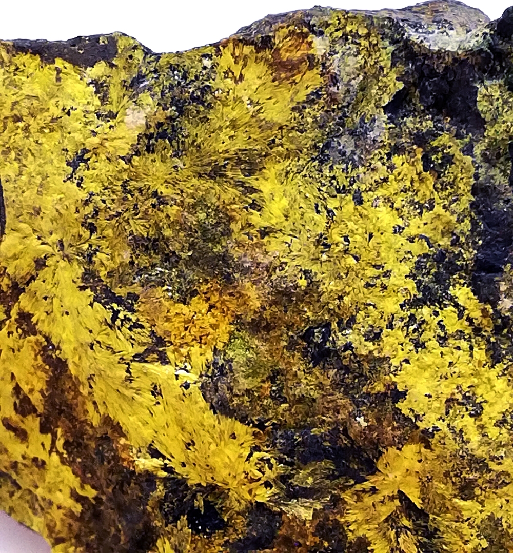 Kamotoite-(Y)