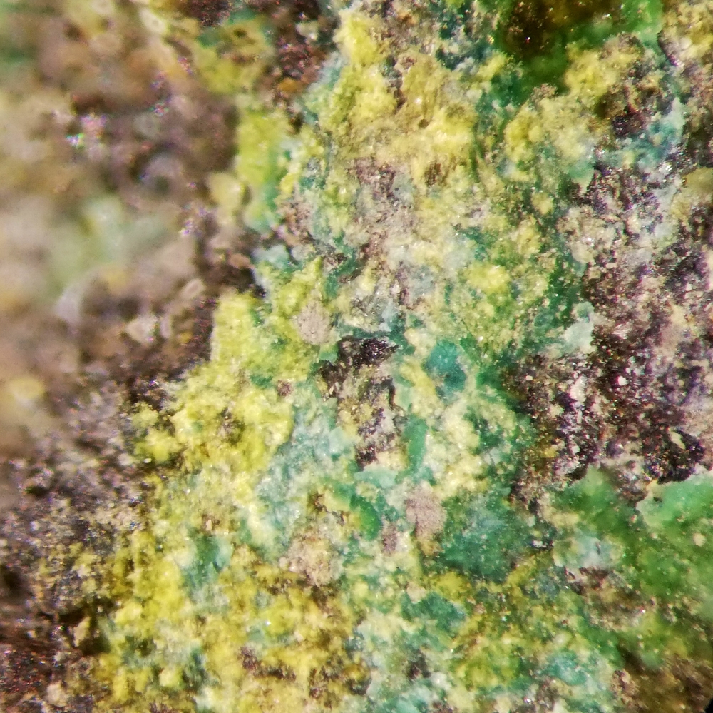 Kamotoite-(Y)