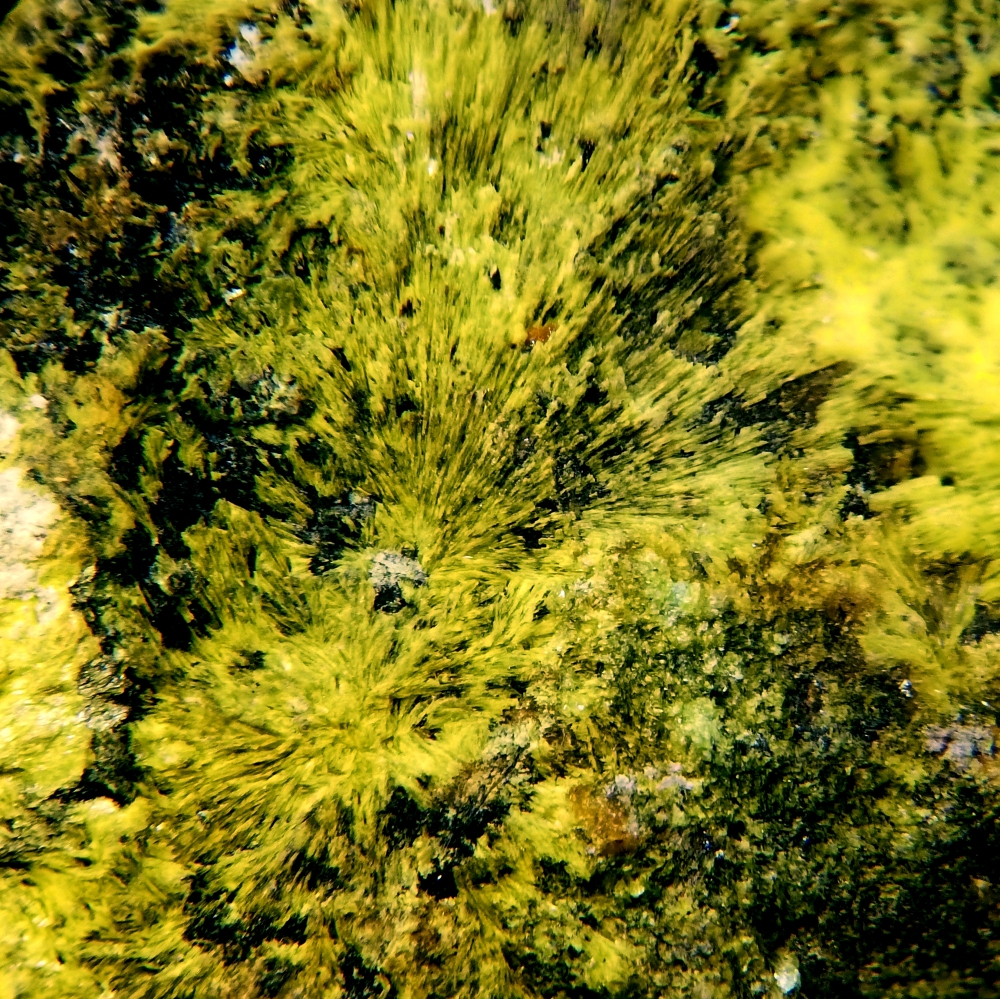 Kamotoite-(Y)
