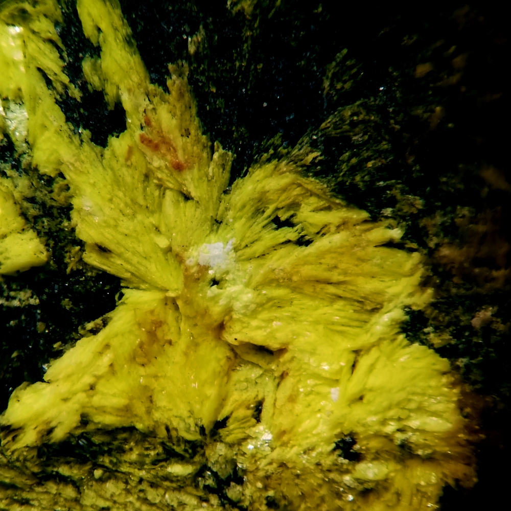 Kamotoite-(Y)