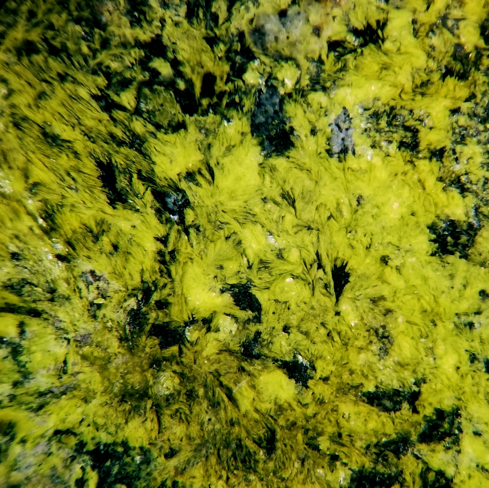 Kamotoite-(Y)