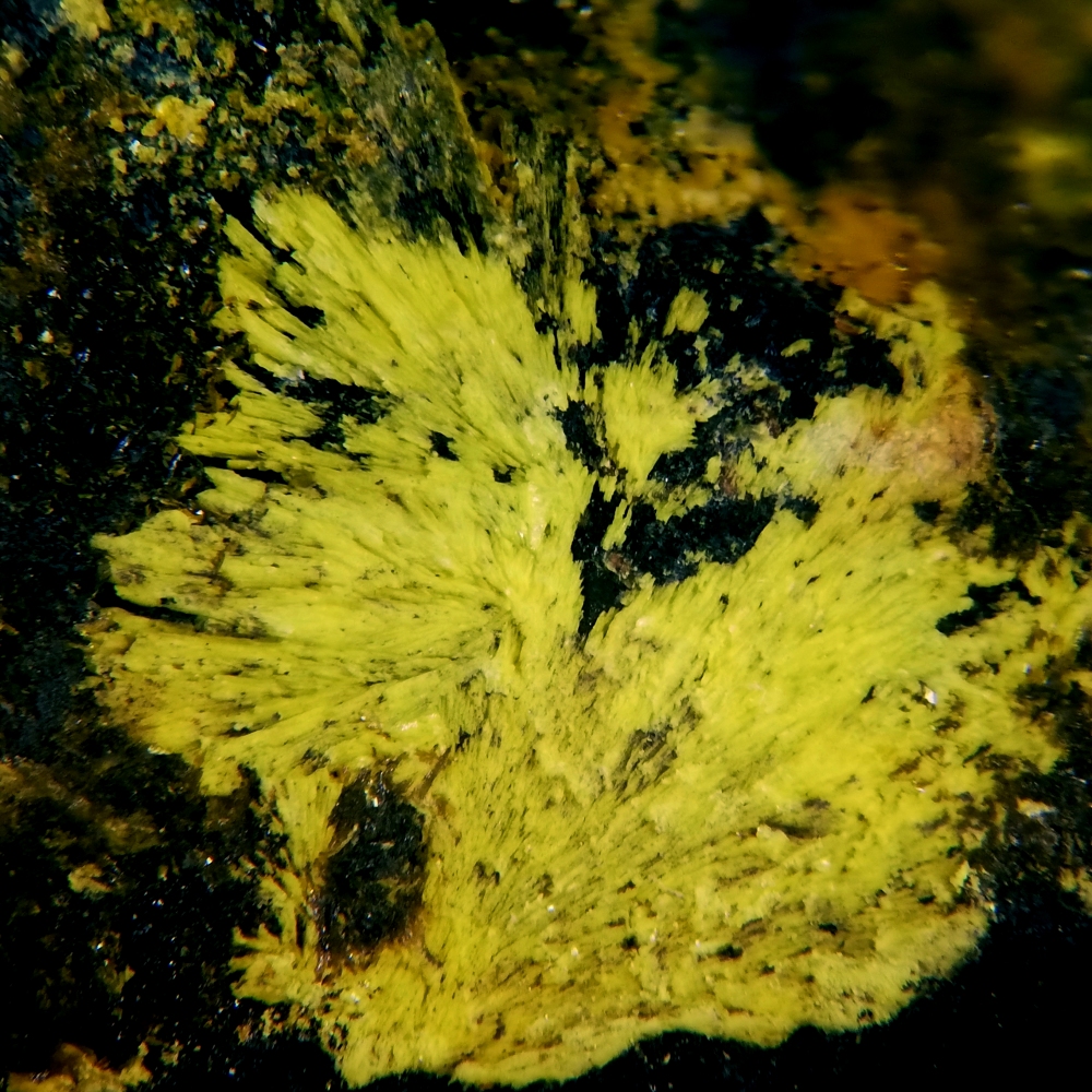 Kamotoite-(Y)