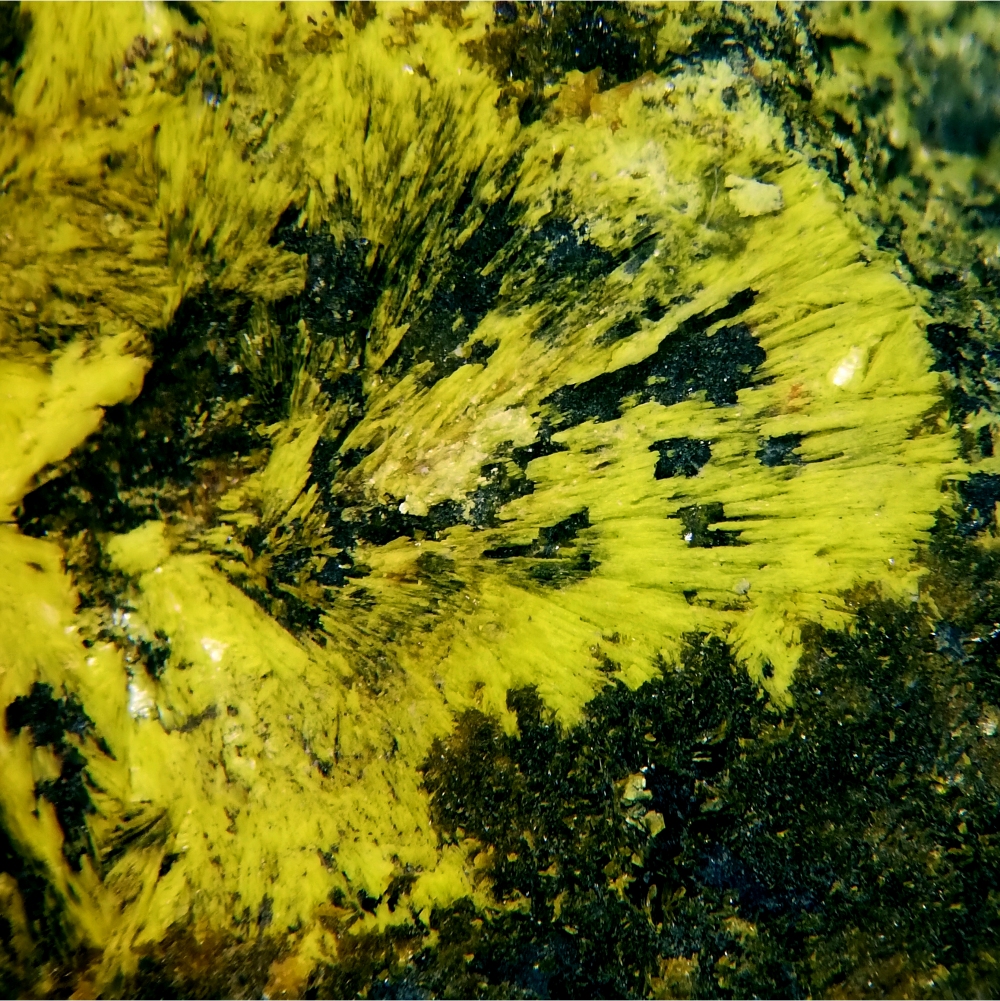 Kamotoite-(Y)