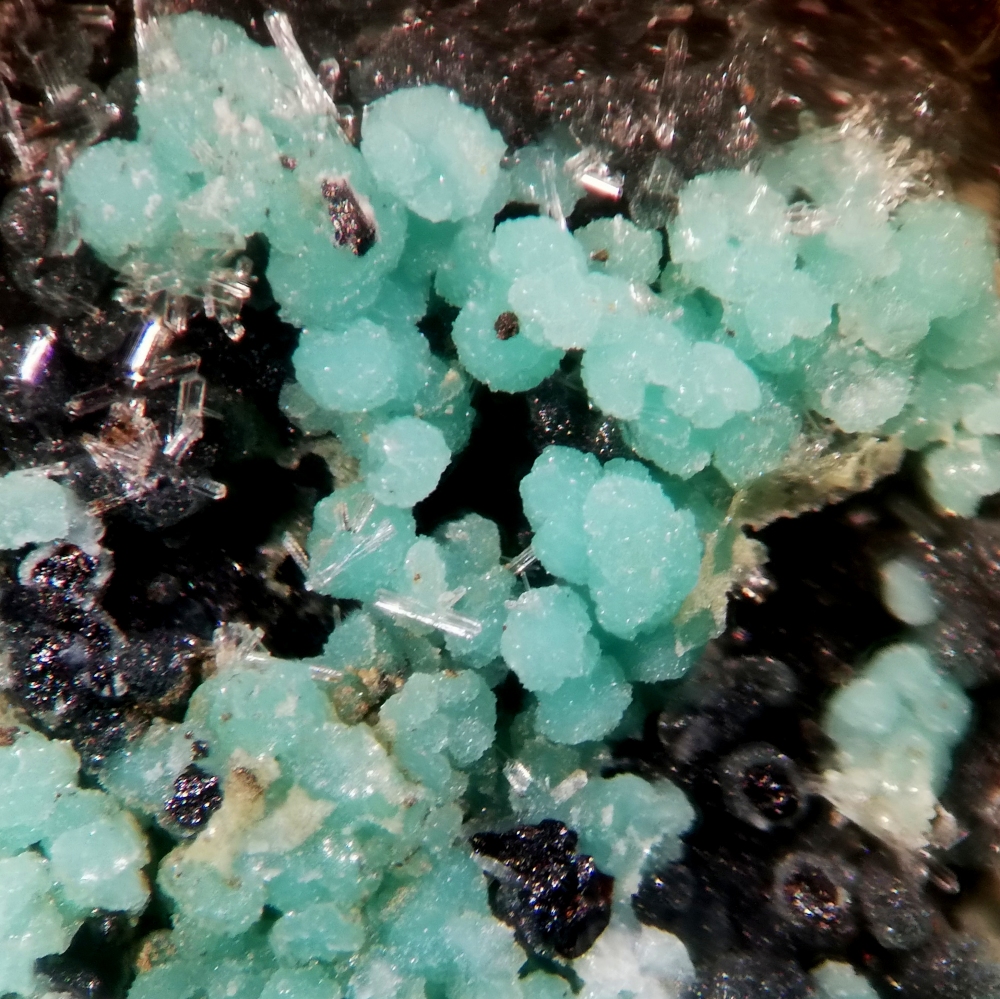 Turquoise & Wavellite