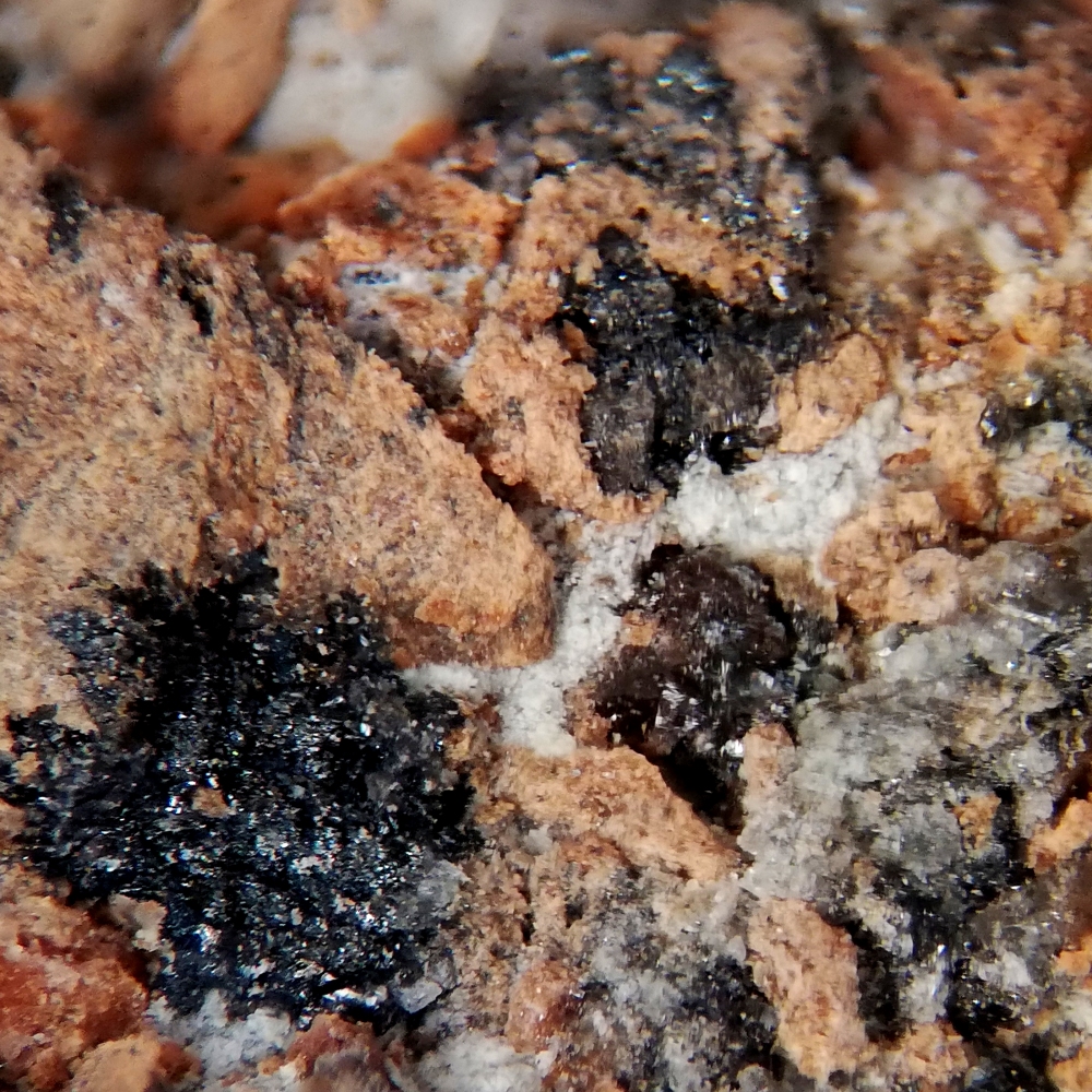 Umangite