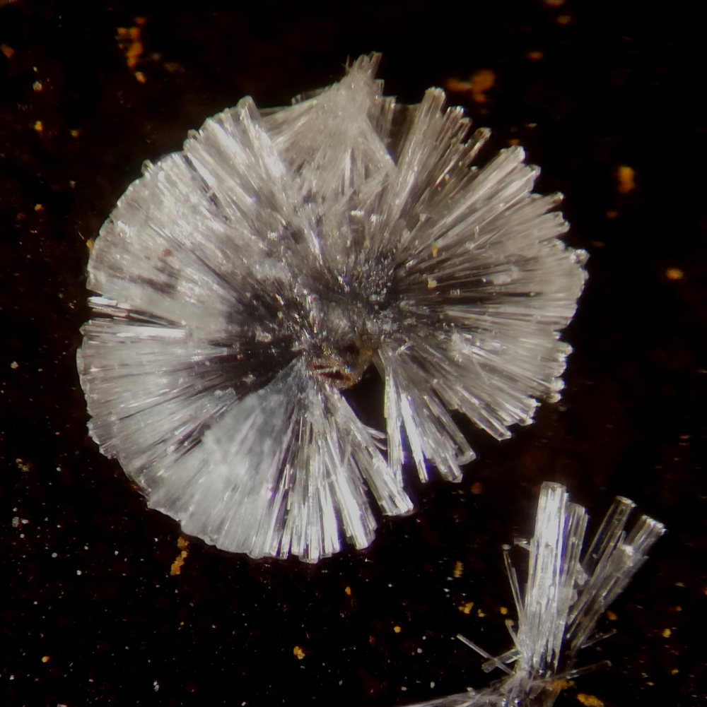 Wavellite
